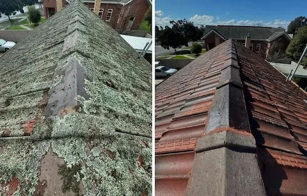 Before And After Cleaning (21 pics)