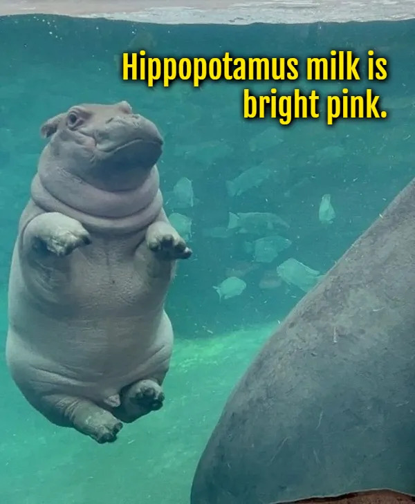 Interesting Facts (15 pics)