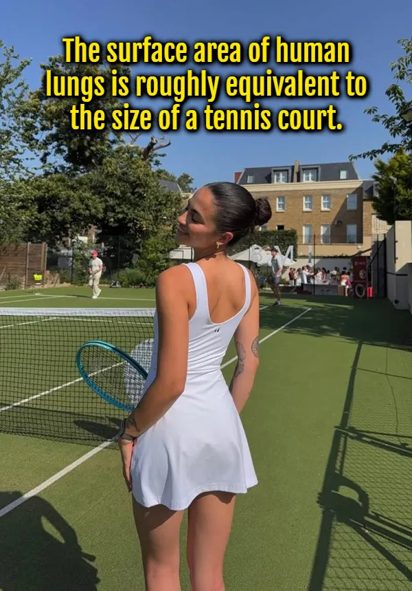 Interesting Facts (15 pics)