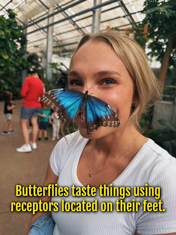 Interesting Facts (15 pics)