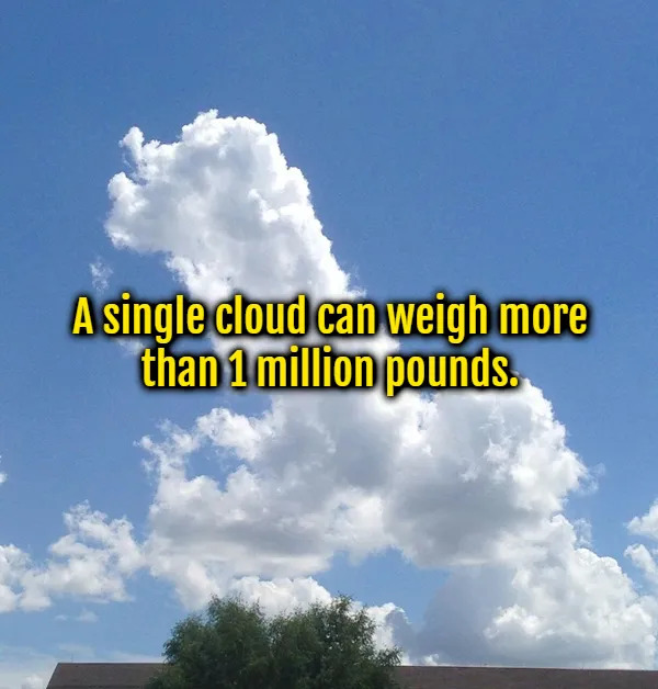 Interesting Facts (15 pics)