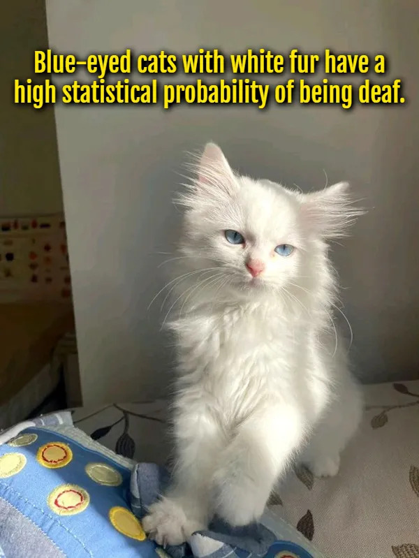 Interesting Facts (15 pics)
