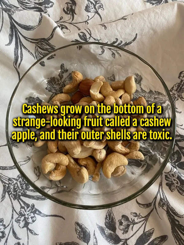 Interesting Facts (15 pics)