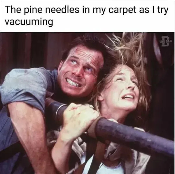 Truthful Memes (25 pics)