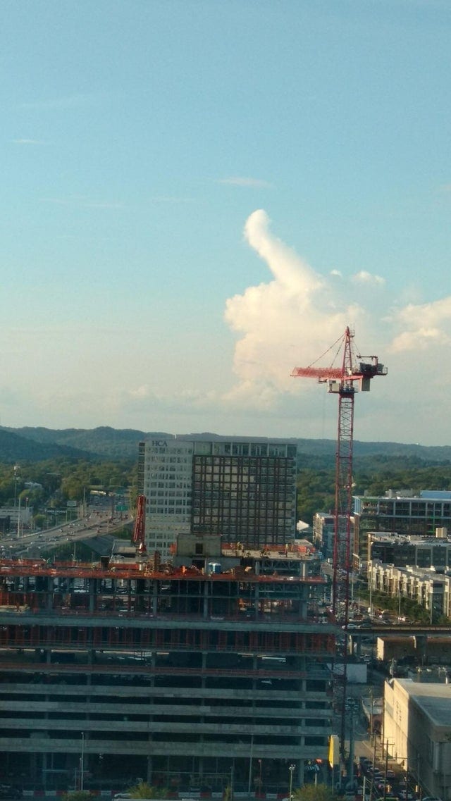 This Is Pareidolia (19 pics)