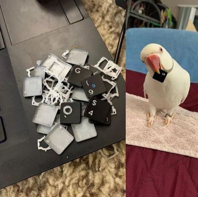 Bad Days Happen (15 pics)