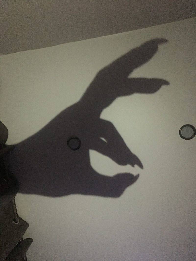 Daily Pictures. Part 2 (80 pics)