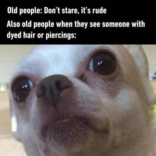 Daily Pictures. Part 2 (80 pics)