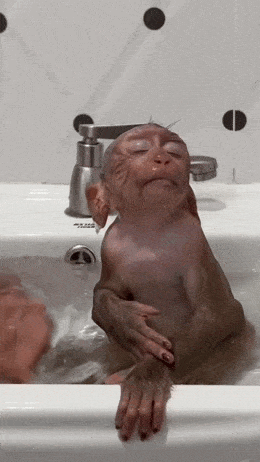 Acid GIFs, August 3 (25 gifs)