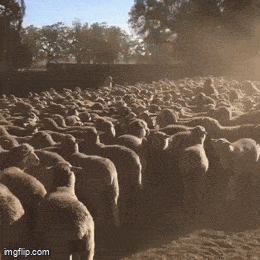 Acid GIFs, August 3 (25 gifs)