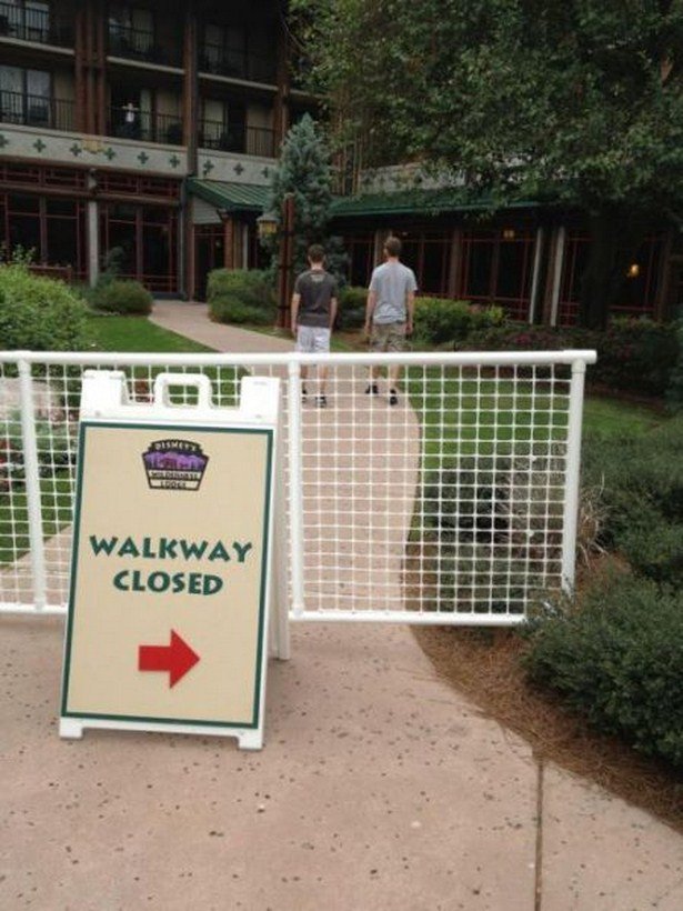 They Don't Care About The Rules (17 pics)