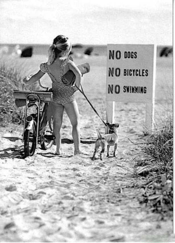 They Don't Care About The Rules (17 pics)