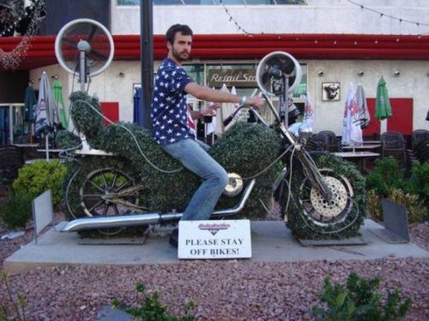 They Don't Care About The Rules (17 pics)