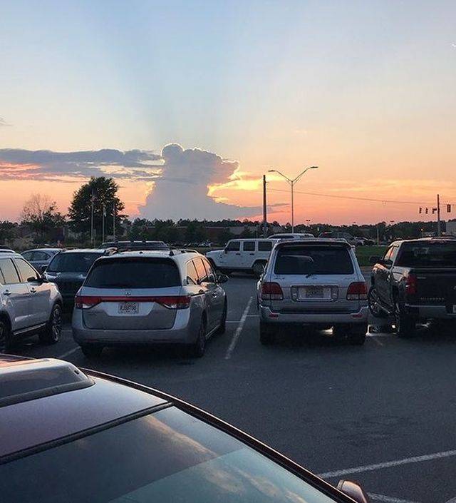 Daily Pictures. Part 2 (72 pics)