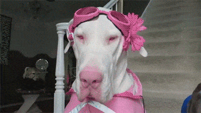 Acid GIFs, August 4 (25 gifs)