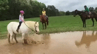 Acid GIFs, August 4 (25 gifs)