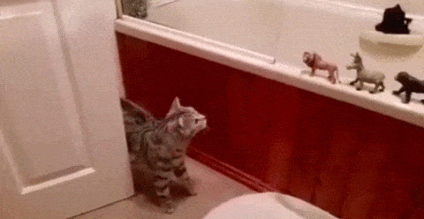 Acid GIFs, August 4 (25 gifs)