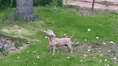 Acid GIFs, August 4 (25 gifs)