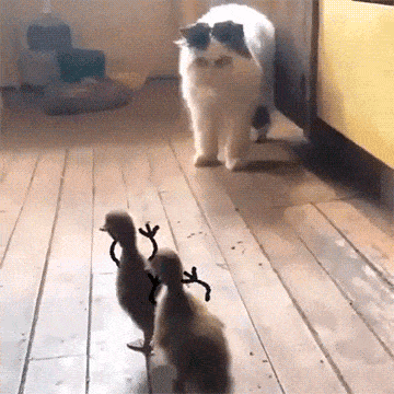 Acid GIFs, August 4 (25 gifs)