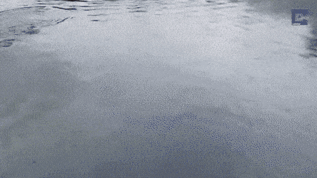 Acid GIFs, August 4 (25 gifs)