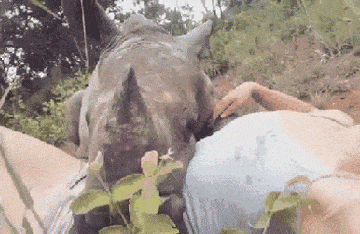 Acid GIFs, August 4 (25 gifs)