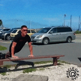 Acid GIFs, August 4 (25 gifs)