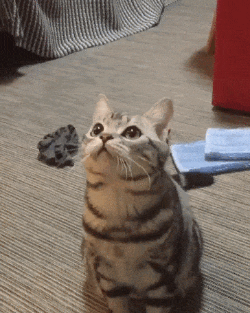 Acid GIFs, August 4 (25 gifs)