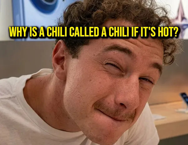 Funny Memes (17 pics)
