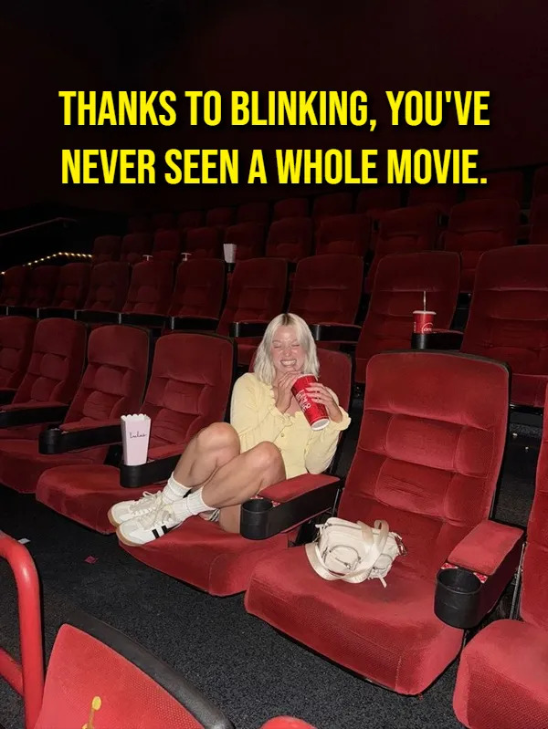 Funny Memes (17 pics)