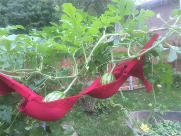 Redneck Inventions And Repairs (23 pics) Redneck Inventions And Repairs (23 pics)