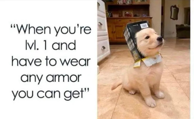 Truthful Memes (23 pics)