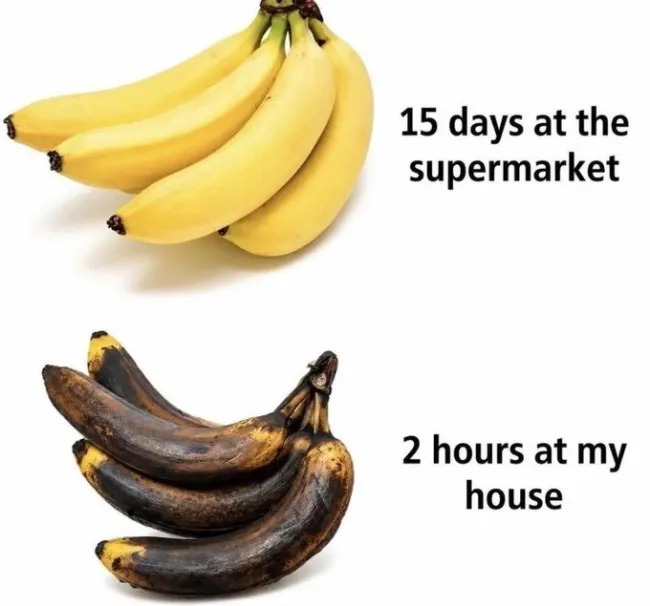Truthful Memes (23 pics)