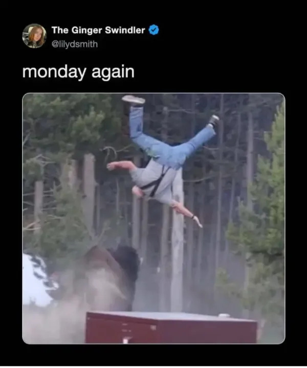 Work Memes (23 pics)
