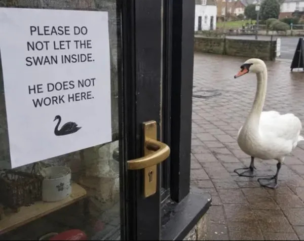 Work Memes (23 pics)