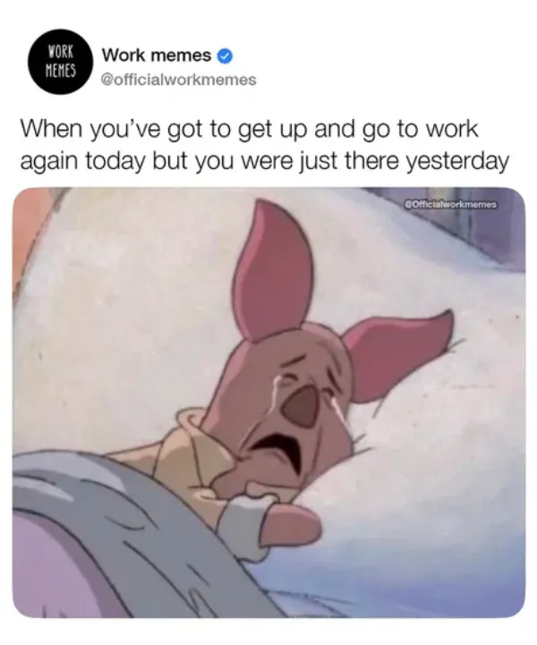 Work Memes (23 pics)