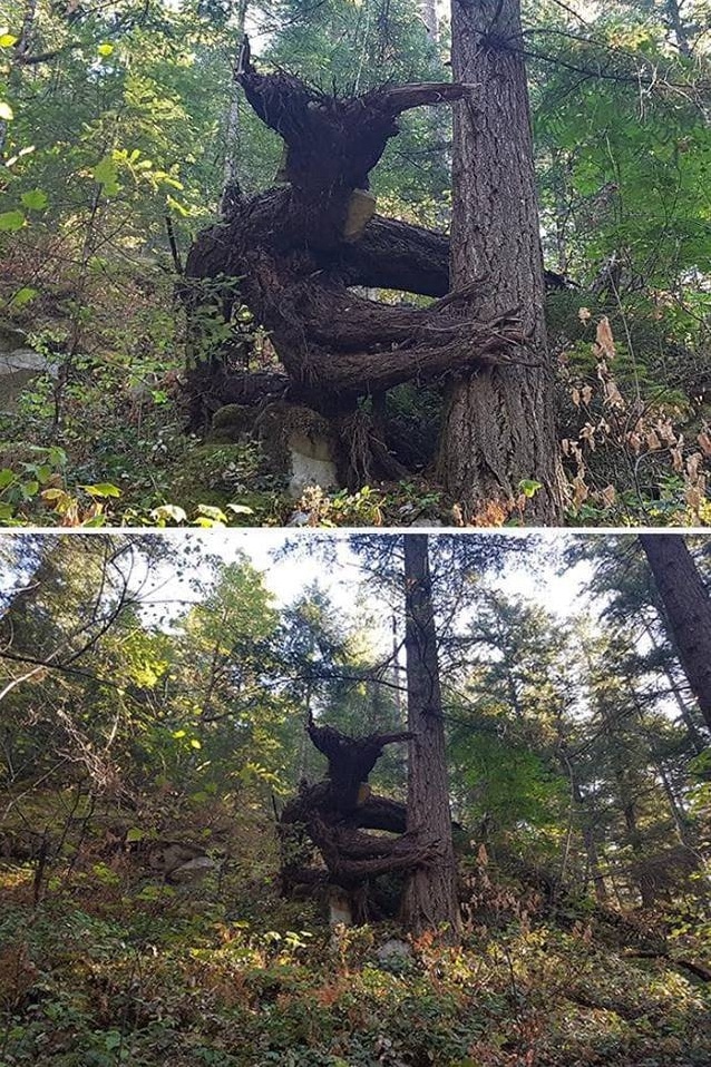 This Is Pareidolia (22 pics)