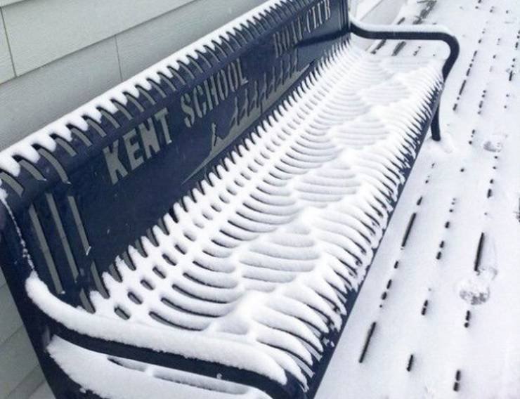Photos For Perfectionists (25 pics)