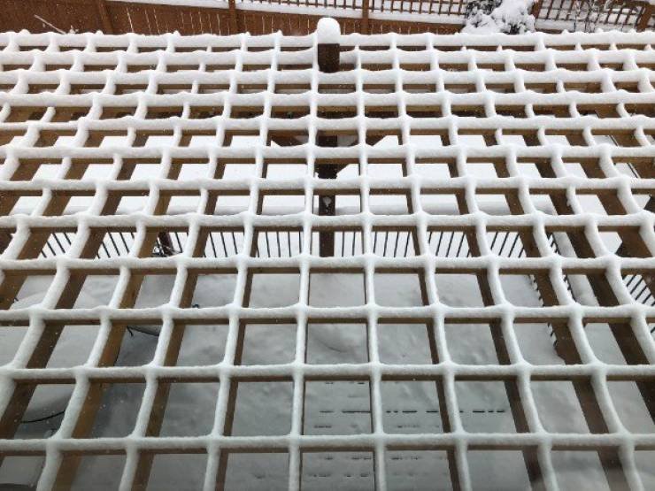 Photos For Perfectionists (25 pics)