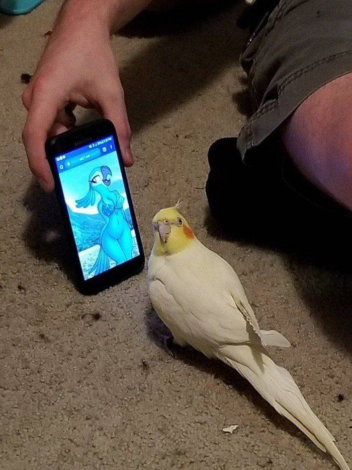 Daily Pictures. Part 2 (82 pics)