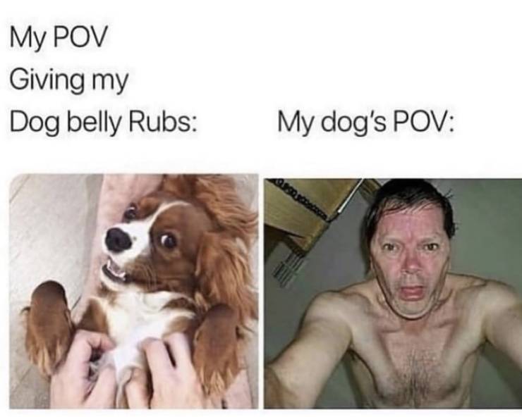 Daily Pictures. Part 2 (82 pics)