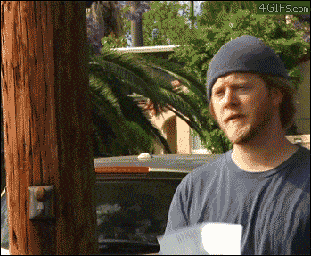 Acid GIFs, August 5 (25 gifs)