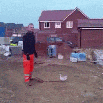 Acid GIFs, August 5 (25 gifs)
