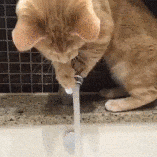 Acid GIFs, August 5 (25 gifs)