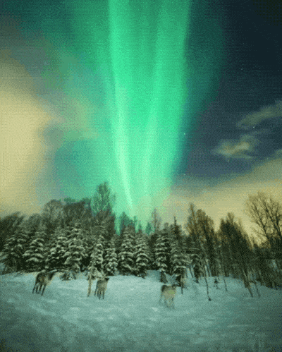 Acid GIFs, August 5 (25 gifs)