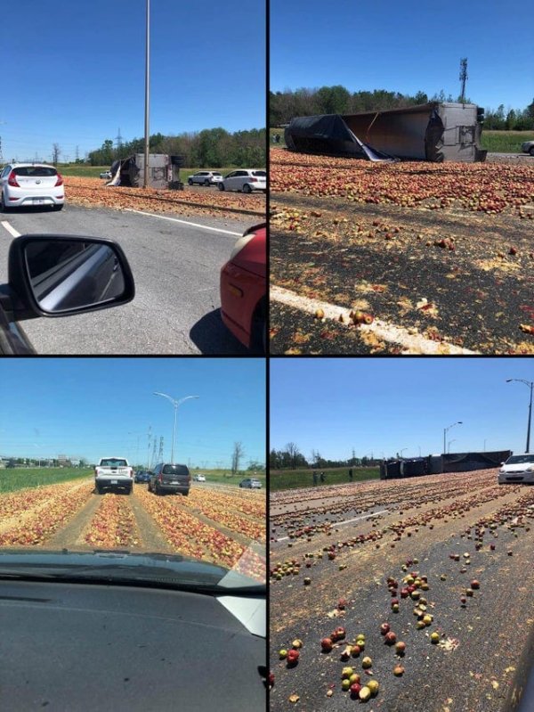 Expensive Fails (17 pics)