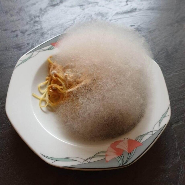 Culinary Failures (17 pics)