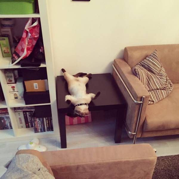Daily Pictures. Part 1 (81 pics)