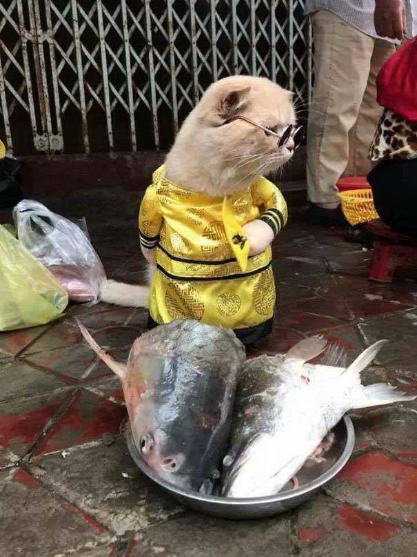 Daily Pictures. Part 1 (81 pics)