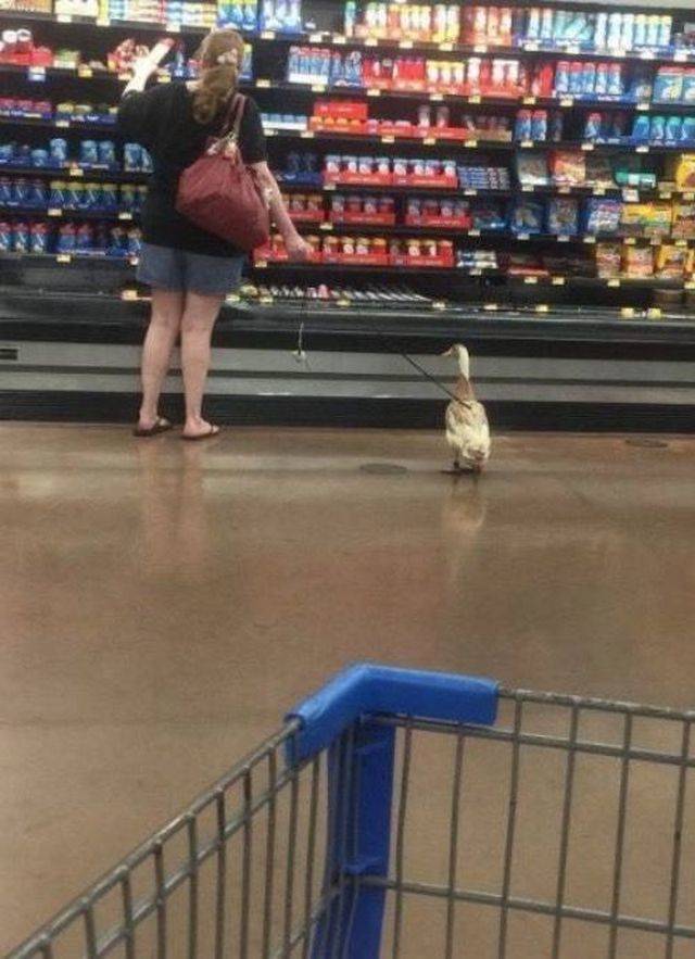 Daily Pictures. Part 1 (81 pics)