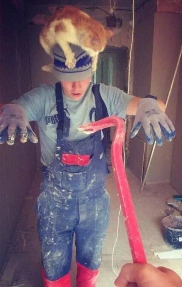 Daily Pictures. Part 2 (80 pics)
